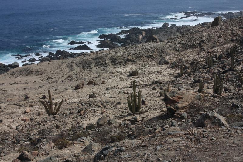 1052-per Nazca (panamericana),17 luglio 2013.JPG